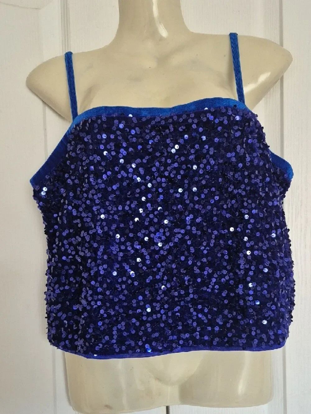 Royal Blue Sequin Spaghetti Strap Camisole - Picture 6 of 16